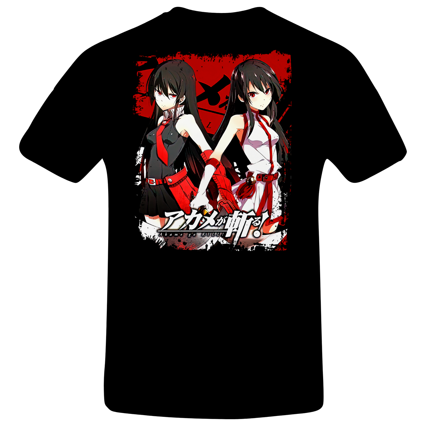 Anime - Akame ga Kill Duo